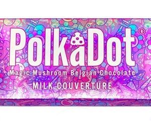 Polkadot chocolate bars price